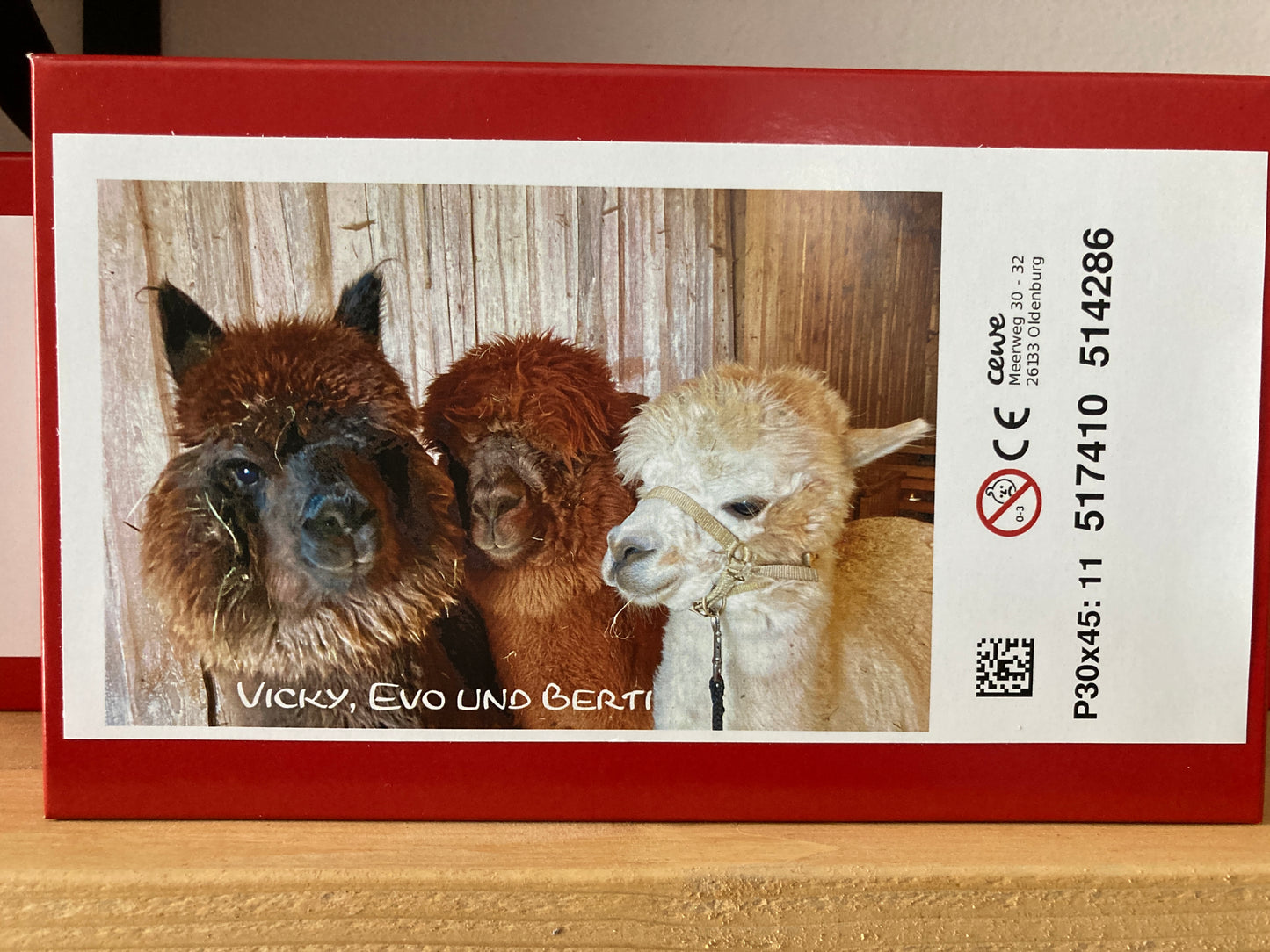 Puzzle Vicky, Evo & Berti