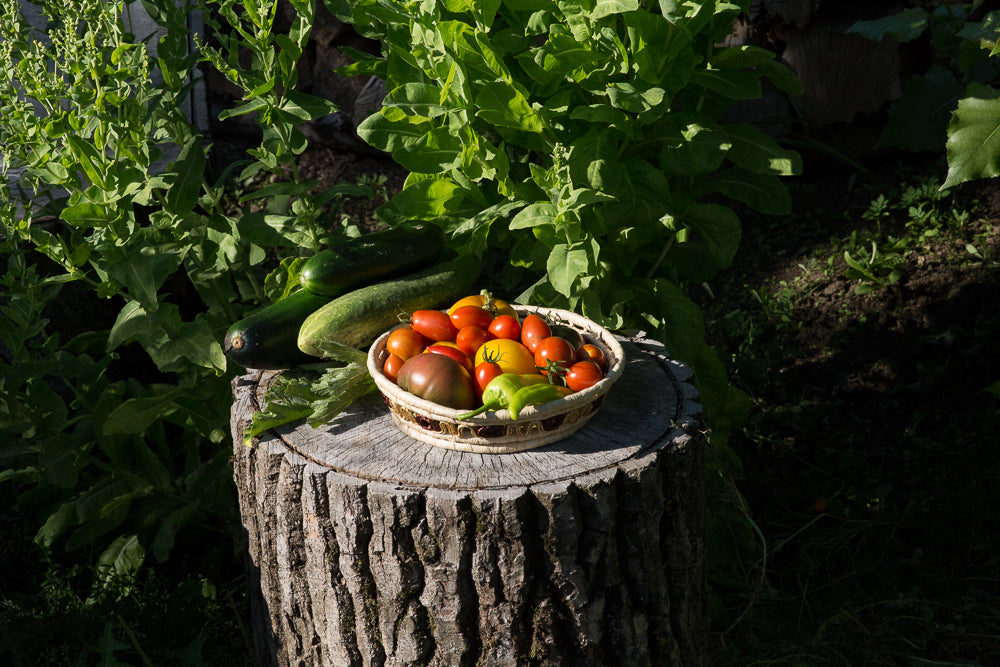 Besucht unseren Permakultur-Garten!