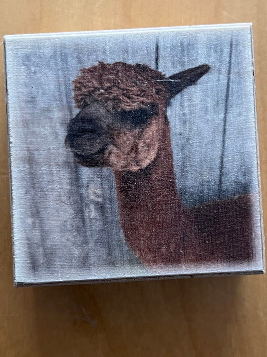 Deko-Holzblock mit Alpakamotiv