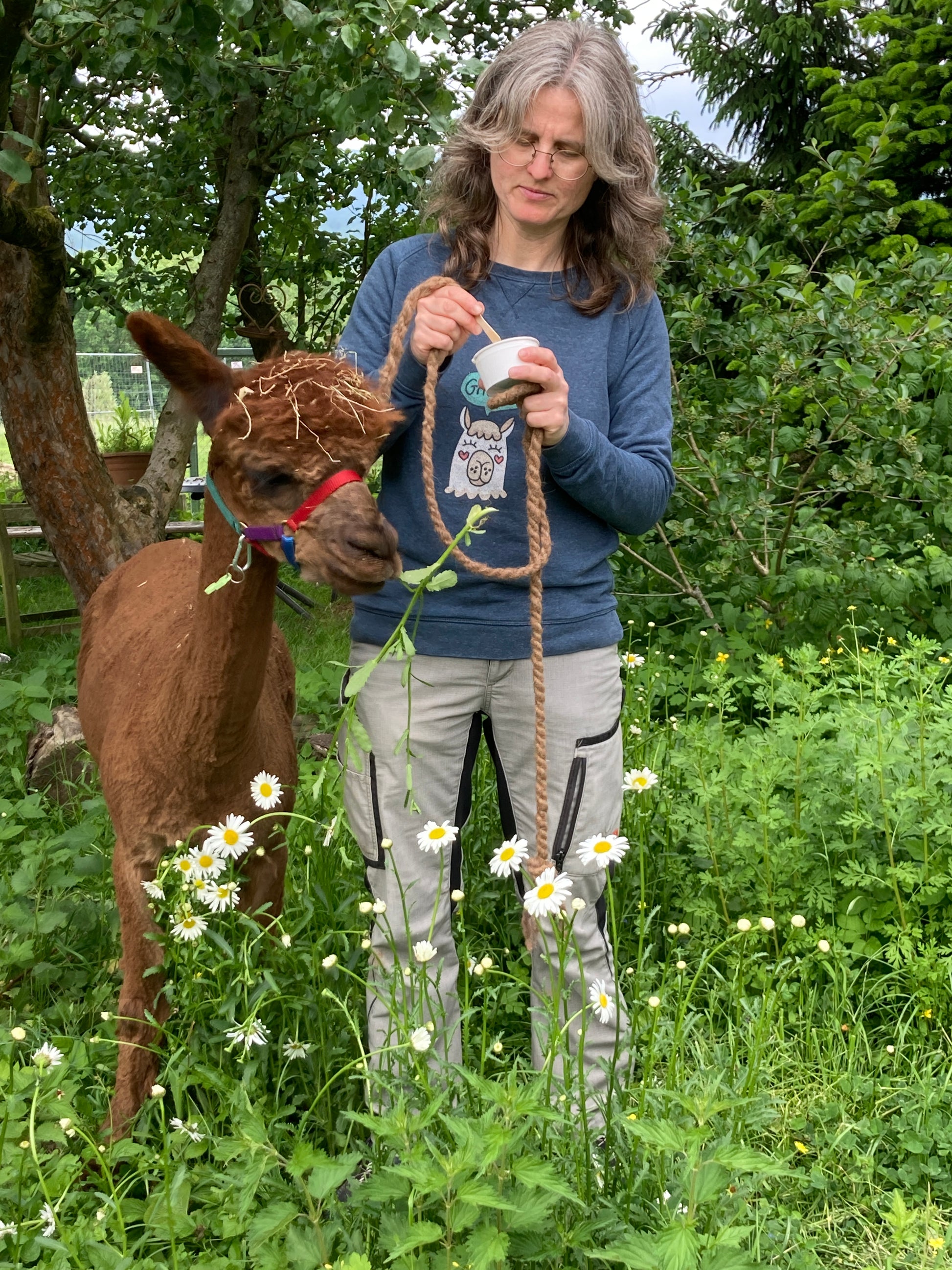 Bioeis nach der Alpakatour