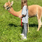 Kind mit Alpaka