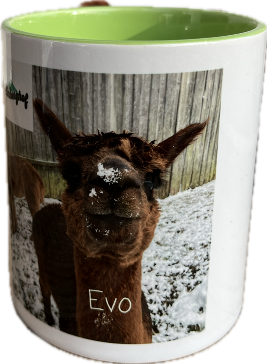 Tasse Evo