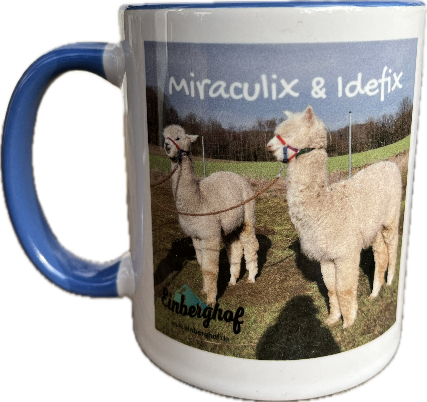 Tasse Miraculix & Idefix
