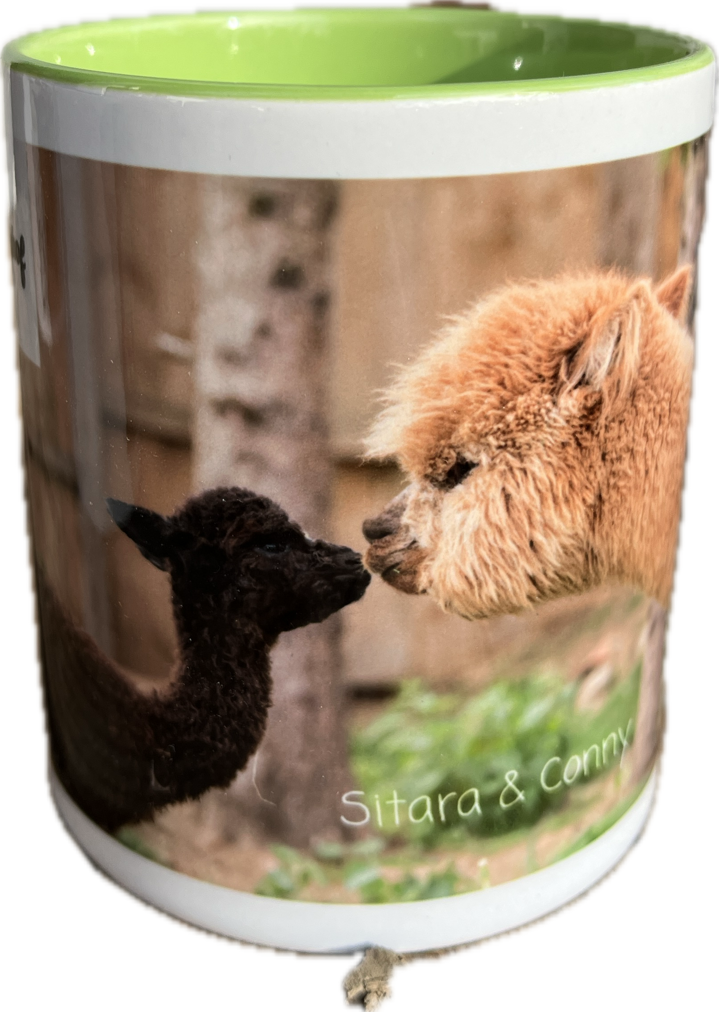 Tasse Conny & Sitara