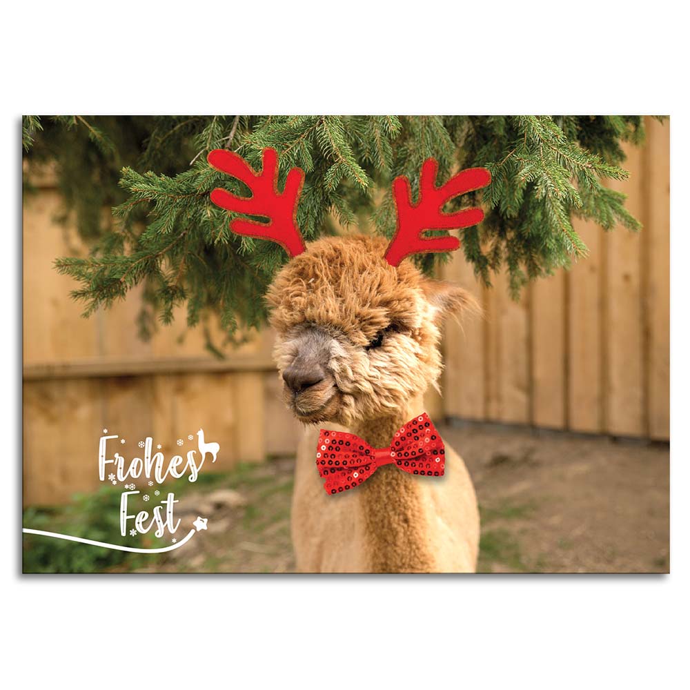 Weihnachtskarte mit Alpakamotiv "Conny" inkl. Kuvert