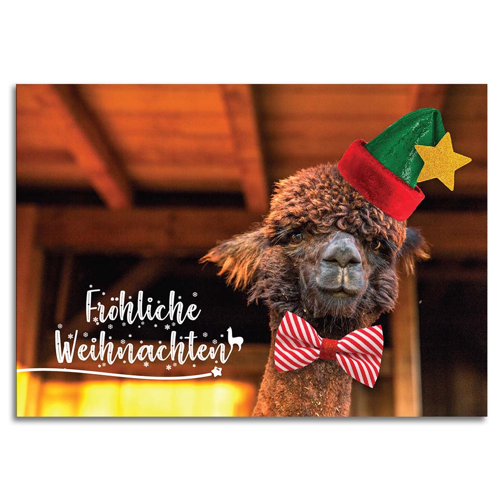 Weihnachtskarte mit Alpakamotiv "Diego" inkl. Kuvert