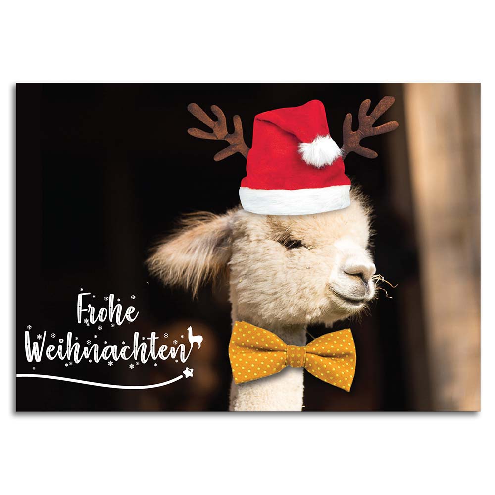 Weihnachtskarte mit Alpakamotiv "Dominica" inkl. Kuvert