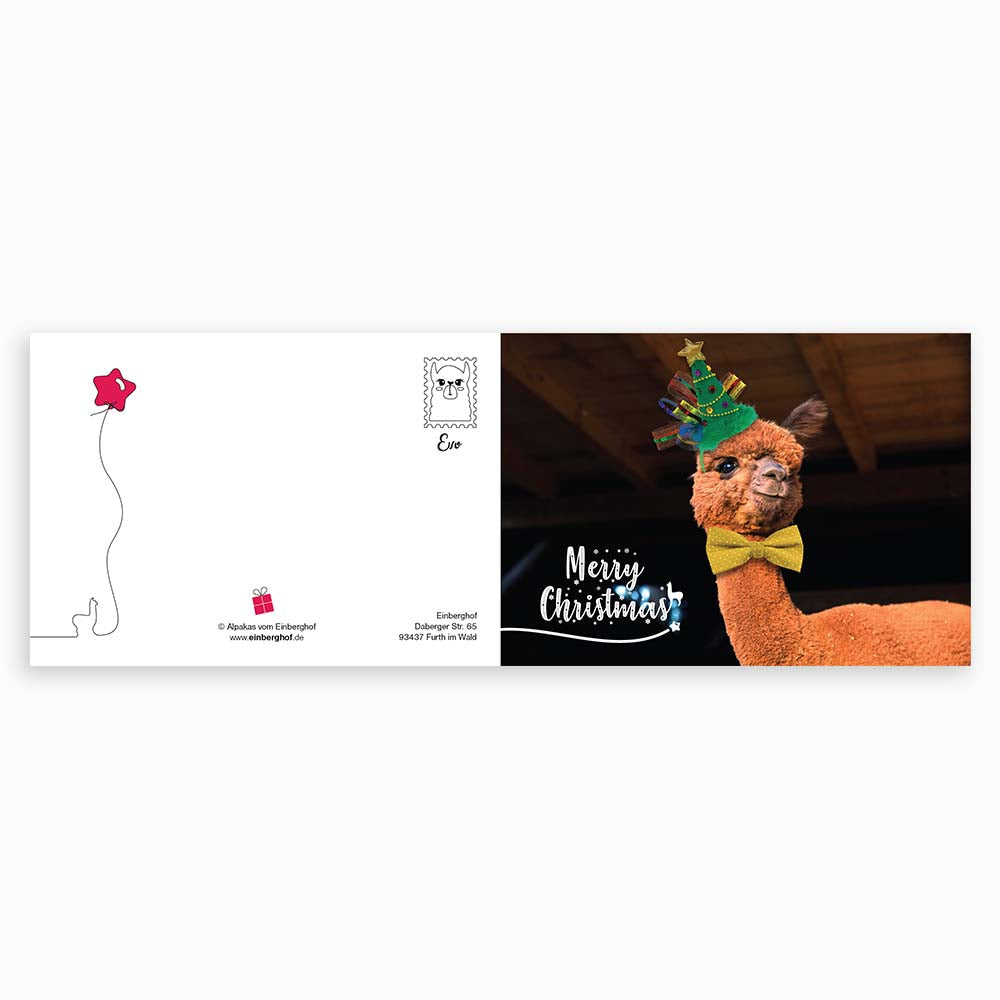 Weihnachtskarte mit Alpakamotiv "Evo" inkl. Kuvert